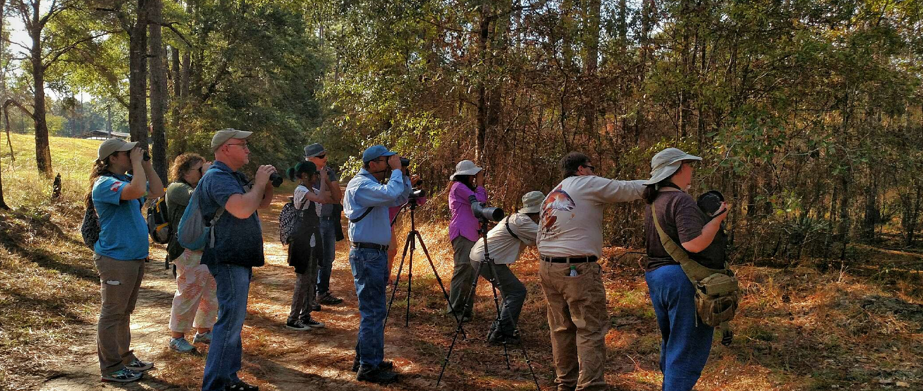 birding, nature, landscape