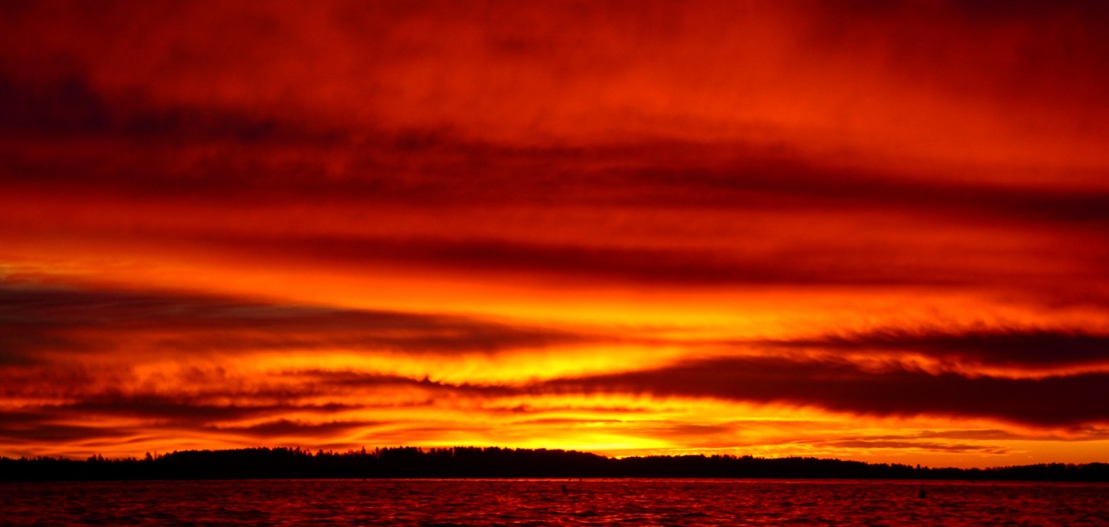 sunset, maine, nature