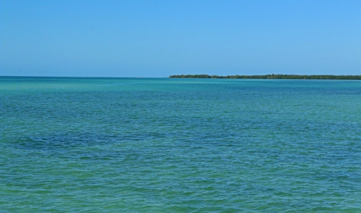 key west, nature, landscape