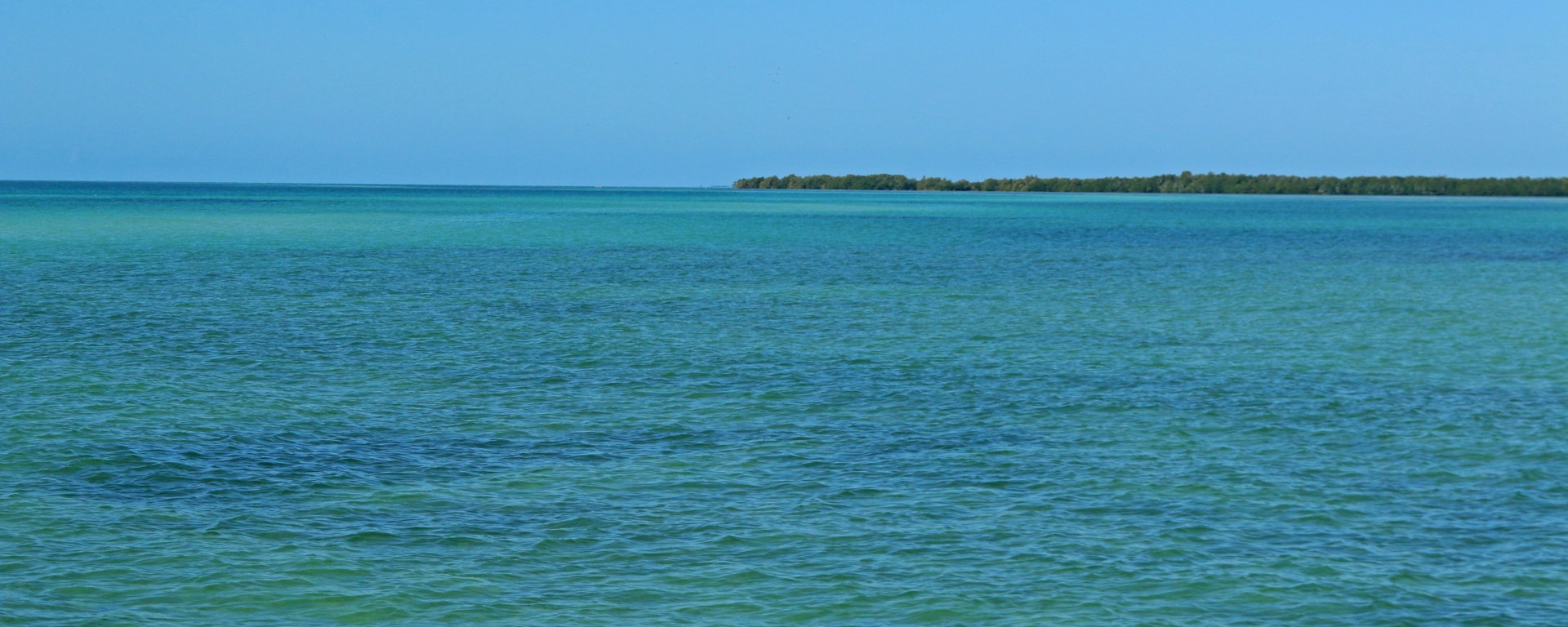 key west, nature, landscape