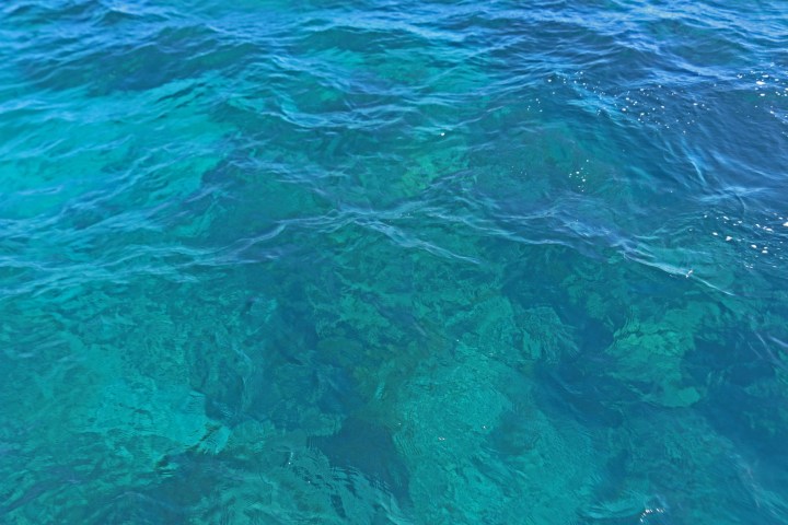 key west, nature, landscape