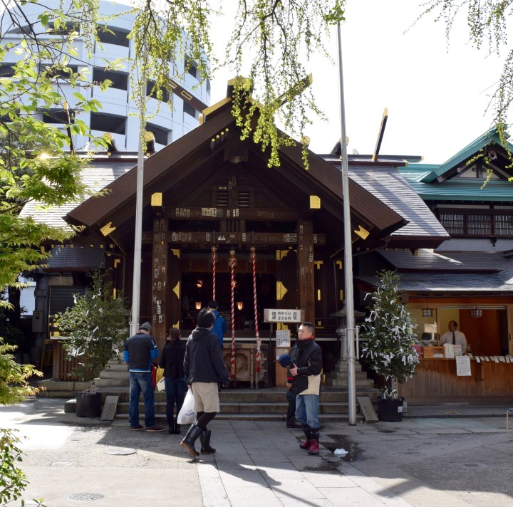 japan, fish market, travel