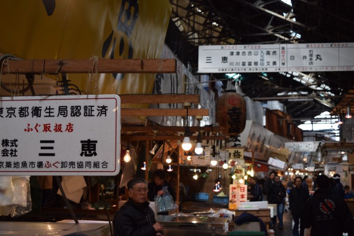 japan, fish market, travel