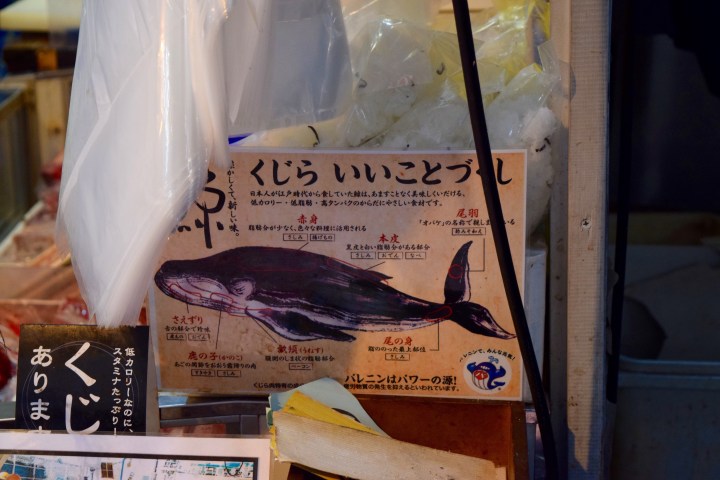 japan, fish market, travel