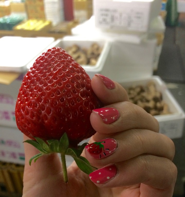 japan, fish market, travel