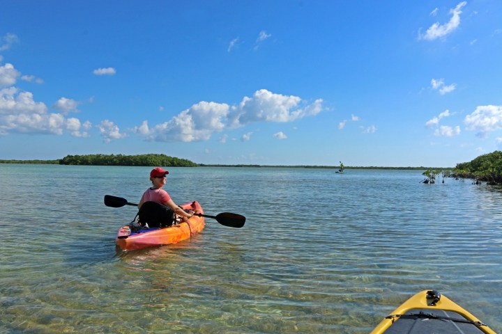 kayak, nature, landscape, florida