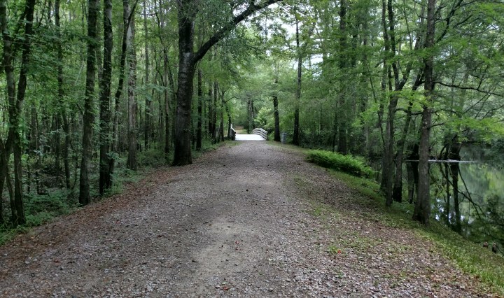moores creek, nature, landscape, travel, national park