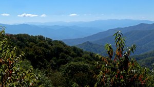 nature, national park, landscape, mountain