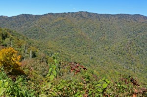 nature, national park, landscape, mountain